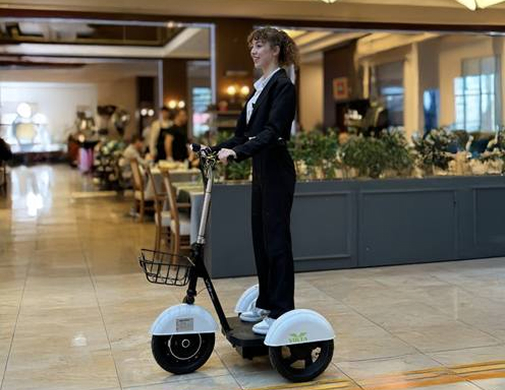 Elektrikli Scooter